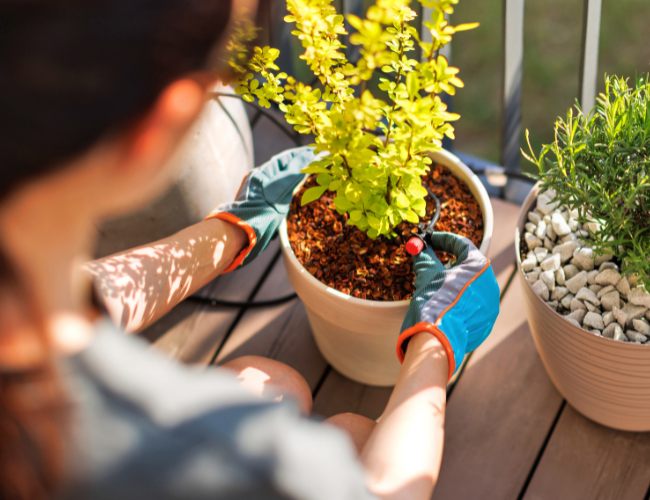 Mujer adornando con plantas su terraza